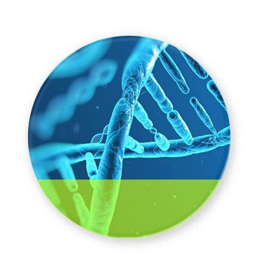 Biología juny2027 (Rebecca) - M1 (Dll i Dx)